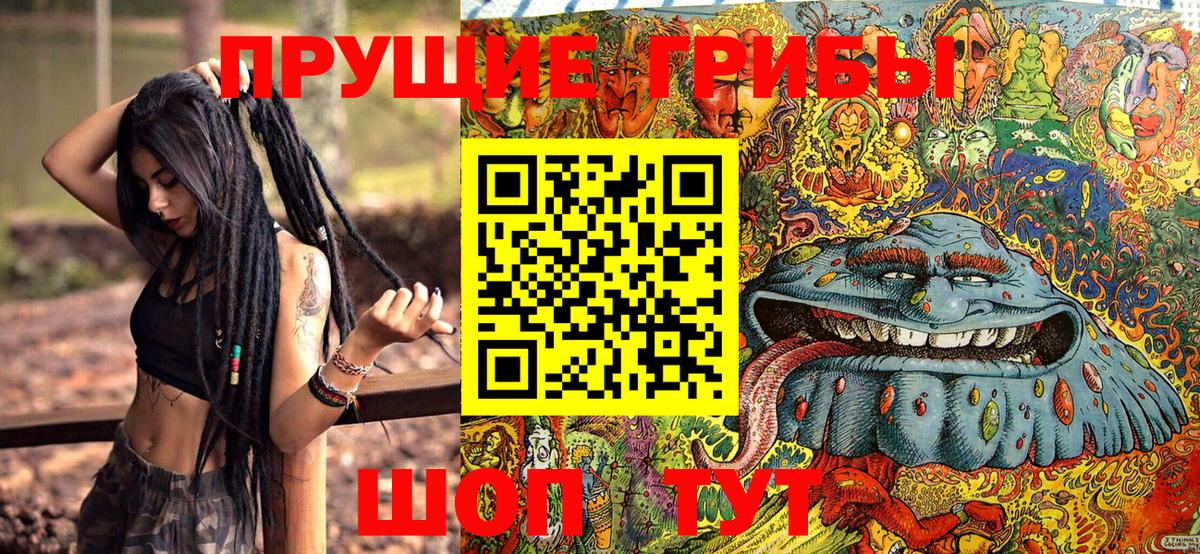 Псилоцибиновые грибы прущие грибы Вольск
